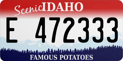 ID license plate E472333