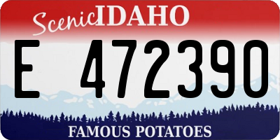 ID license plate E472390