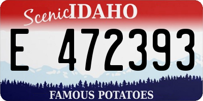 ID license plate E472393