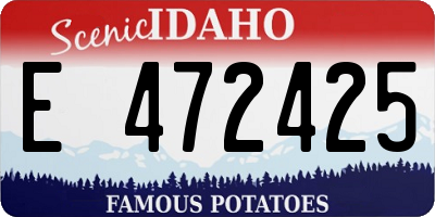 ID license plate E472425