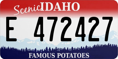 ID license plate E472427