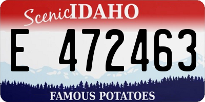 ID license plate E472463