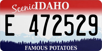 ID license plate E472529