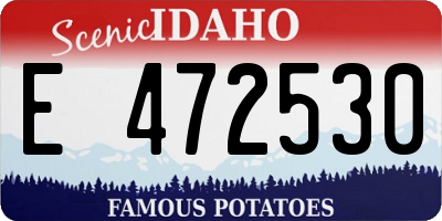 ID license plate E472530