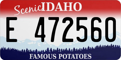 ID license plate E472560