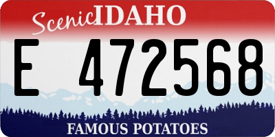 ID license plate E472568
