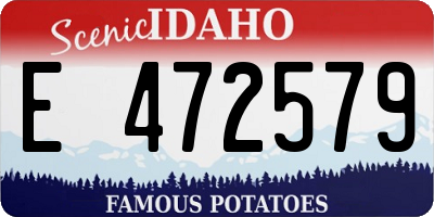 ID license plate E472579