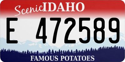 ID license plate E472589