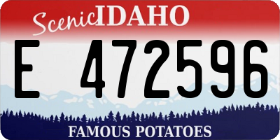 ID license plate E472596