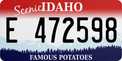 ID license plate E472598