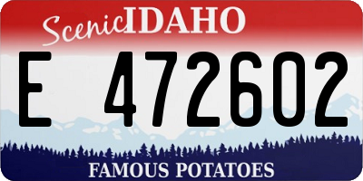 ID license plate E472602
