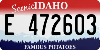 ID license plate E472603