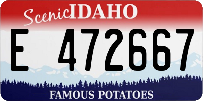 ID license plate E472667