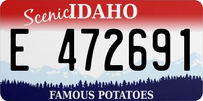 ID license plate E472691