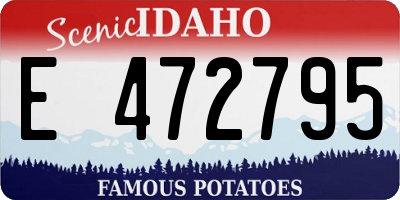 ID license plate E472795
