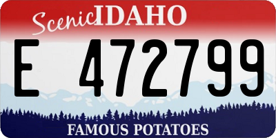 ID license plate E472799
