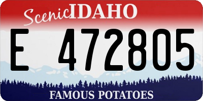 ID license plate E472805