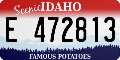 ID license plate E472813