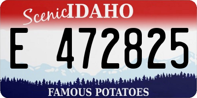 ID license plate E472825