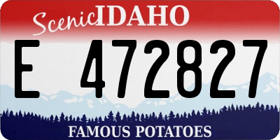 ID license plate E472827