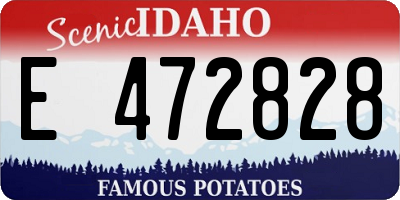 ID license plate E472828