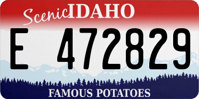 ID license plate E472829