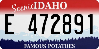 ID license plate E472891