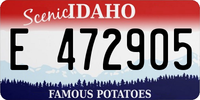 ID license plate E472905