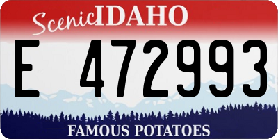 ID license plate E472993