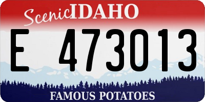 ID license plate E473013