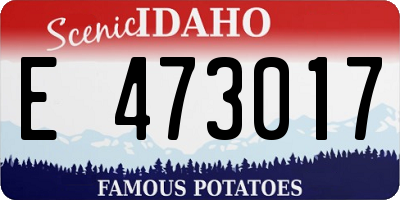 ID license plate E473017