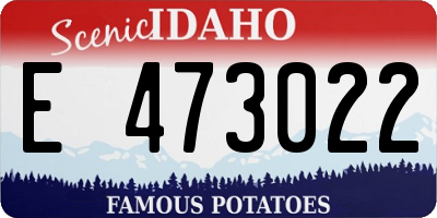ID license plate E473022
