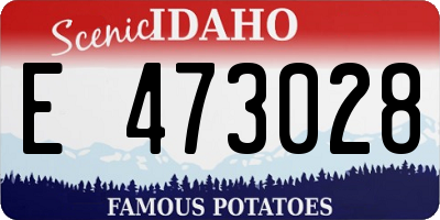 ID license plate E473028