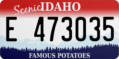 ID license plate E473035