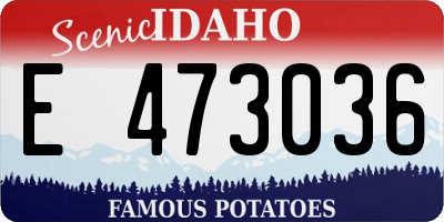 ID license plate E473036