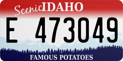 ID license plate E473049