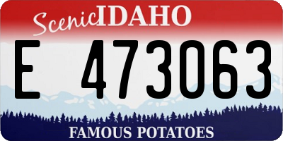 ID license plate E473063