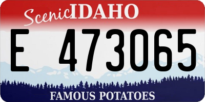 ID license plate E473065