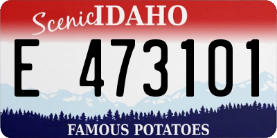 ID license plate E473101