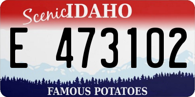 ID license plate E473102