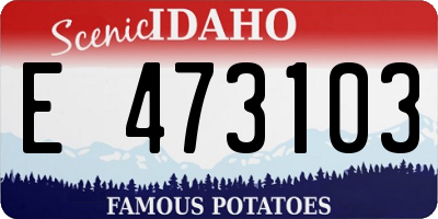 ID license plate E473103