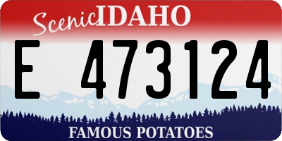 ID license plate E473124
