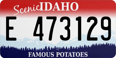 ID license plate E473129