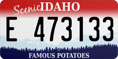 ID license plate E473133