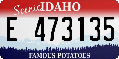 ID license plate E473135