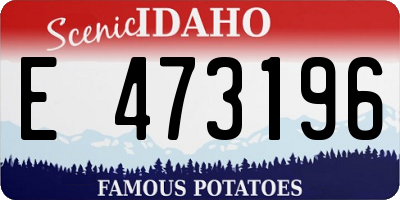 ID license plate E473196