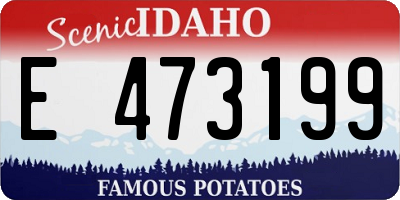 ID license plate E473199