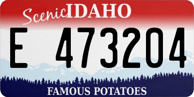 ID license plate E473204