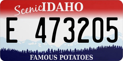 ID license plate E473205