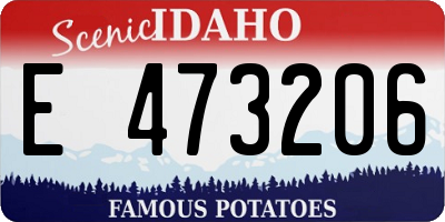 ID license plate E473206